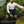 Load image into Gallery viewer, Lower Back Brace for Men and Women